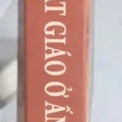 Những Di Tích Phật Giáo Ở Ấn Độ 712131