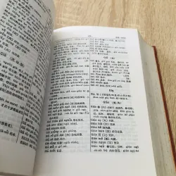 TỪ ĐIỂN VIỆT - HÁN 1000525