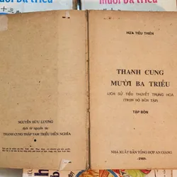 Trọn bộ 4 tập THANH CUNG MƯỜI BA TRIỀU 702530