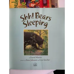 Shh! Bears Sleeping – David Martin 561133