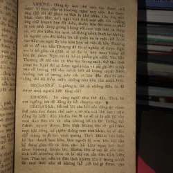 Đám cưới giả - Xecvantex 991234