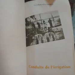 LE RIZ AU CAMBODGE, AU LAOS, AU VIÊT-NAM 1888 - 1991 588349