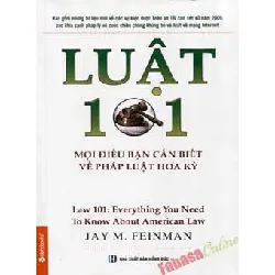 Luật 101: Mọi Điều Bạn Cần Biết Về Pháp Luật Hoa Kỳ - Jay M. Feinman