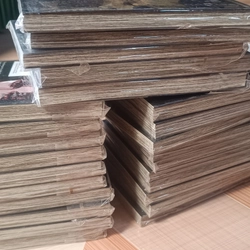 25 tập Thiên Thần Diệt Thế (từ 1 đến 25) 524947