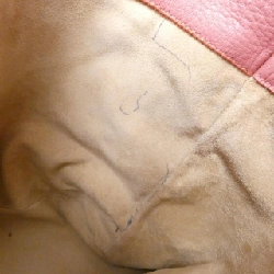 Bottega Veneta 194900 VG0DO túi 614290