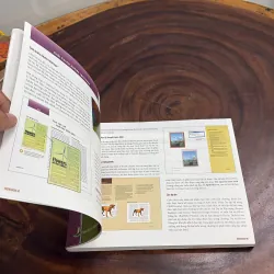 II Tủ Sách Bản Quyền Đại Học FPT: Khám Phá Adobe Indesign, Thiết Kế Dàn Trang Cơ Bản 991986