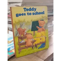 Teddy goes to school