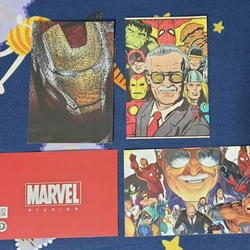 Sách danh nhân Stan Lee - Marvel tặng kèm port card, tình trạng như mới. 299178