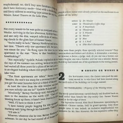 The Westing Game - Ellen Raskin 731973