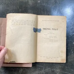 Trừng phạt  1029929