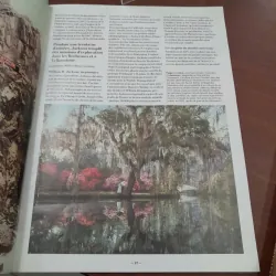 TẠP CHÍ TASCHEN 995776