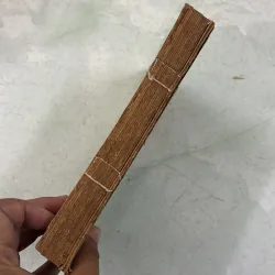 Con kỳ giông (Bộ 2 tập) 1030853