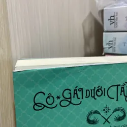 (Tiểu thuyết) - Cô gái dưới tầng hầm - Stacey Lee 990715