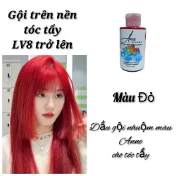 Dầu Gội Bù Màu Anne Dành Cho Tóc Tẩy 100ML 250ML 762688