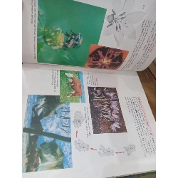 Science Directions 7 - Douglas A. Roberts and Author Team 1042513
