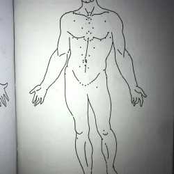 Bấm huyệt (Cách chữa & sự ích lợi) - FM. Houston, DC 1001145