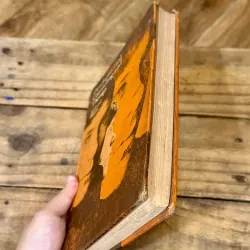 Developmental Counseling and Therapy - Bill L. Kell & Josephine Morse Burow 729018