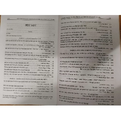 Hội thảo 300 năm Phật giáo Gia Định Sài Gòn - 2002 - 422 trang - LỊCH SỬ - CHÍNH TRỊ - TRIẾT HỌC - ANTQ2011-11 702442