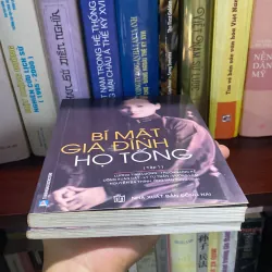 BÍ MẬT GIA ĐÌNH HỌ TỐNG, TẬP 1 + TẬP 2 (XB 2010) 1010275