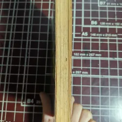 Thần tượng ( giải Nobel Văn học 1991) - Nadine Gordimer 754701