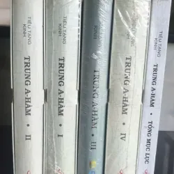 Trọn Bộ Tiểu Tạng Kinh Trung A- Hàm - Tuệ Sỹ 704363