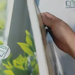 Cuộc Đời Của Các Danh Nhân - Romain Rolland 1018936