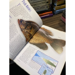 The Complete Guide to Freshwater Fishing 363166