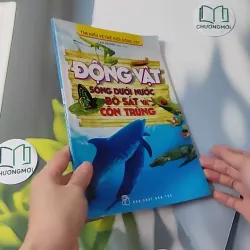 Động vật: Sống dưới nước, bò sát và côn trùng - An Khánh 1018832