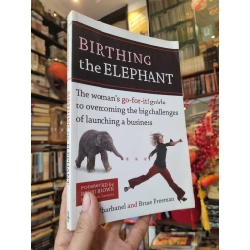 Birthing The Elephant : The woman's go-for-it! guide to overcoming the big challenges of launching a business - Karrin Abarbanel & Bruce Freeman