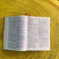 TỪ ĐIỂN TIẾNG VIỆT - TRƯƠNG VĂN HÙNG 991356