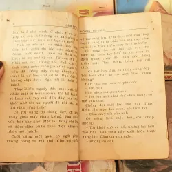 Tiểu thuyết lãng mạn Việt Nam ĐÊM NOEL (Hoàng Thu Dung) 782380