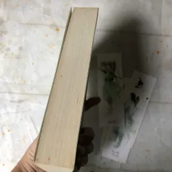 Yêu Em Từ Cái Nhìn Đầu Tiên - Cố Mạn 757818