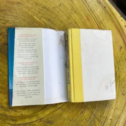 GOODBYE STRANGER- REBECCA STEAD 711944