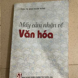 Mấy cảm nhận về văn hóa – Đinh Xuân Dũng