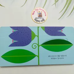 Set boardbook tiếng Hàn B36 1067376