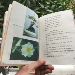 Kỹ Thuật Trồng Và Ghép Mai - Huỳnh Văn Thới 928913