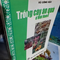 trồng cây ăn quả ở việt nam