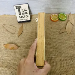 Chân trời góc bể 1012899