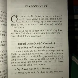 Thuốc quý vườn nhà bạn - Chữa bệnh bằng cây thuốc nam - Mai Hoa 936884