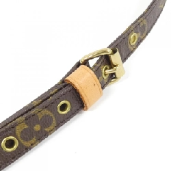 Túi đeo vai Louis Vuitton Monogram Amazon M45236 611735