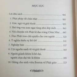 Phật Pháp Tại Thế Gian - Thích Thanh Từ 723053