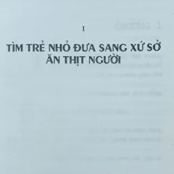 Brésil đỏ (Jean- Christophe Rufin) 144280