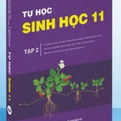 Sách 2026-Tự học Sinh học lớp 11 Tập 1+2 795750