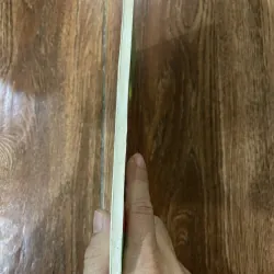 Những người phụ nữ nổi tiếng - Nguyệt Tú 745443