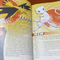 PICTURE BOOK Pokemon officical guide to legendary and mythical 534176