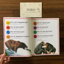 Sách ngoại văn My First Animal Questions and Answers, Used, Siêu Dày 578055
