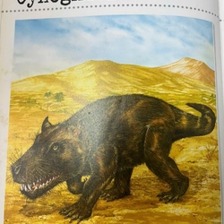 DINOSAURS&PREHISTORIC LIFE 539645