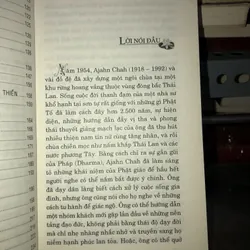 Trong vòng sinh diệt - Ajahn Chah 735839