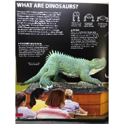 Wow! Dinosaur BÌA CỨNG mới 80% bìa bẩn tróc nhẹ DK HPB2707 NGOẠI VĂN 192104