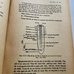 📚 SINH HỌC THỰC VẬT (Phạm Hoàng Hộ) 📚 503986